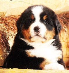 Vera One Month Old in Russia