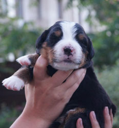 Vera 12 Days Old in Russia