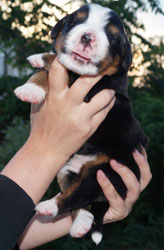 Vera 12 Days Old in Russia