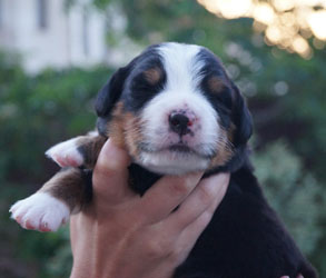 Vera 12 Days Old in Russia