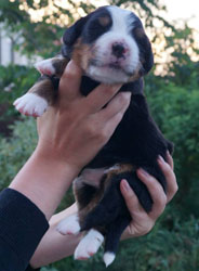 Vera 12 Days Old in Russia