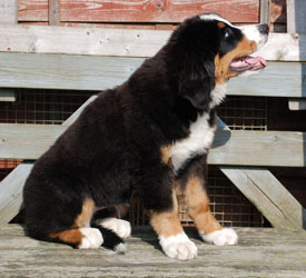 Vera at Four Months