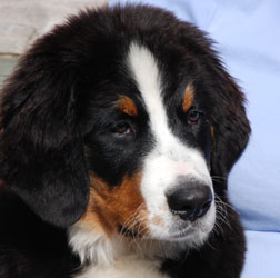 Vera at Four Months