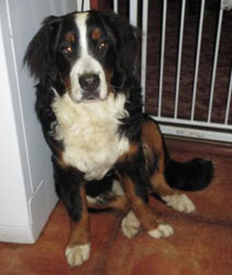 Finley at Eight Months