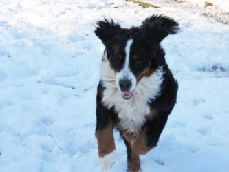 Finley at Nine Months