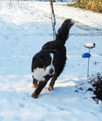 Finley at Nine Months