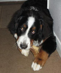 Finley at Eight Months