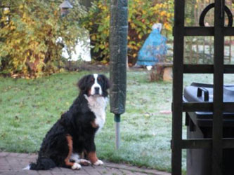Finley at Eight Months