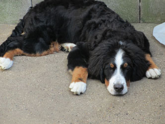 Finley at Six Months