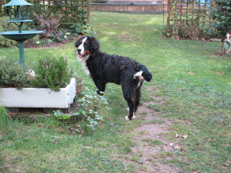 Finley at Six Months