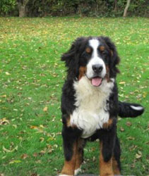 Finley at Seven Months