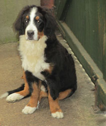 Finley at Six Months